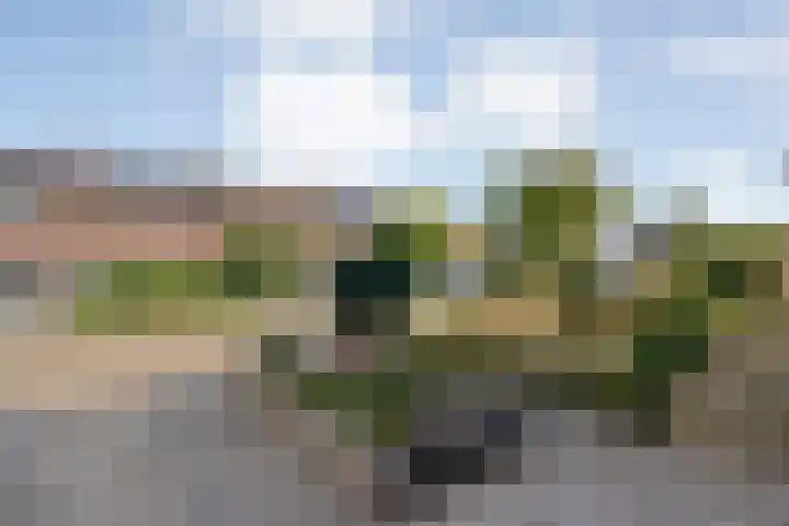Auke Vosstraat 34 Slagharen thumbnail 35