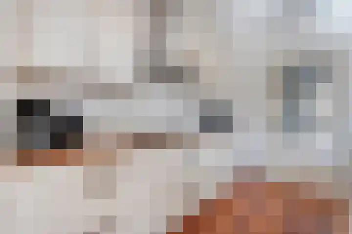Auke Vosstraat 34 Slagharen thumbnail 7