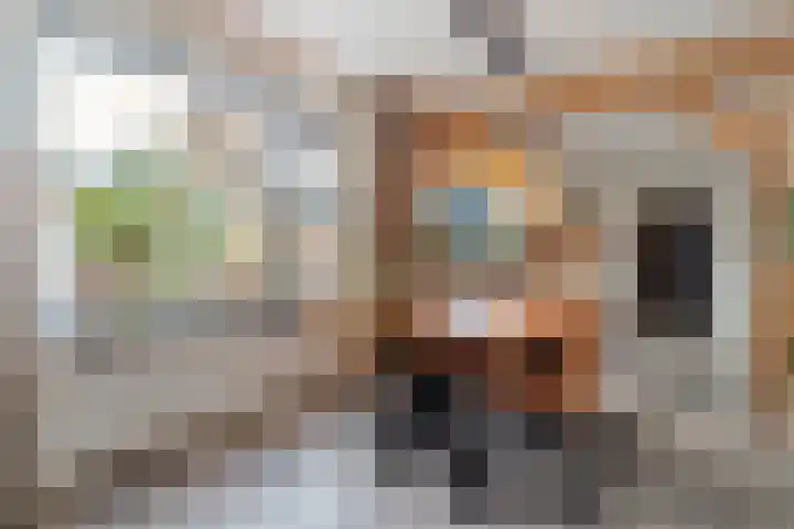 Auke Vosstraat 78 Slagharen thumbnail 10