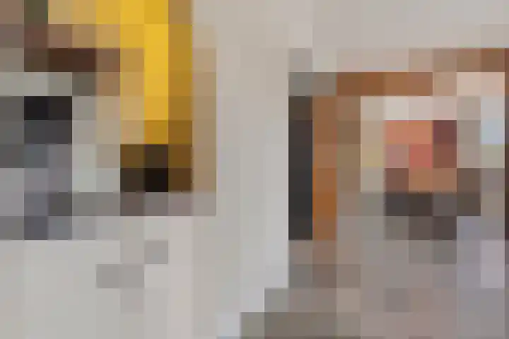 Auke Vosstraat 78 Slagharen thumbnail 11