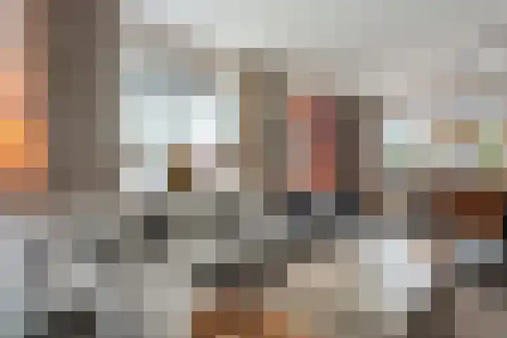 Auke Vosstraat 78 Slagharen thumbnail 12