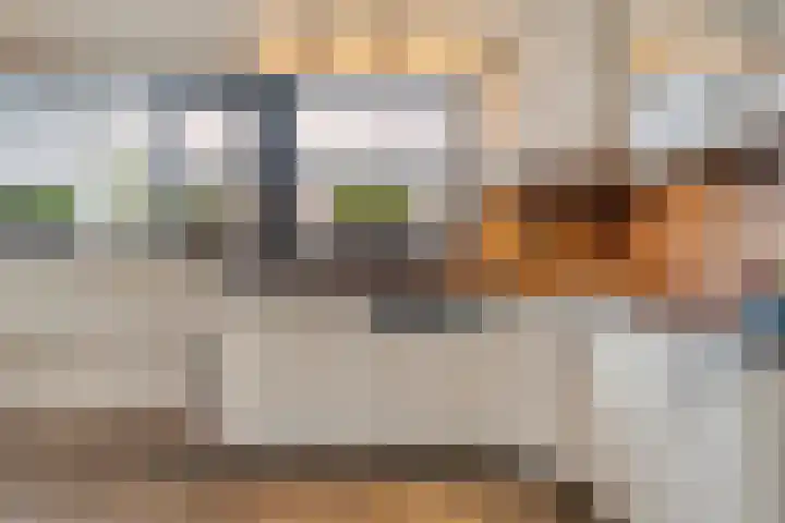 Auke Vosstraat 78 Slagharen thumbnail 14