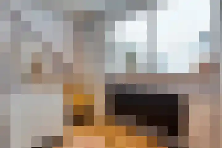 Auke Vosstraat 78 Slagharen thumbnail 28