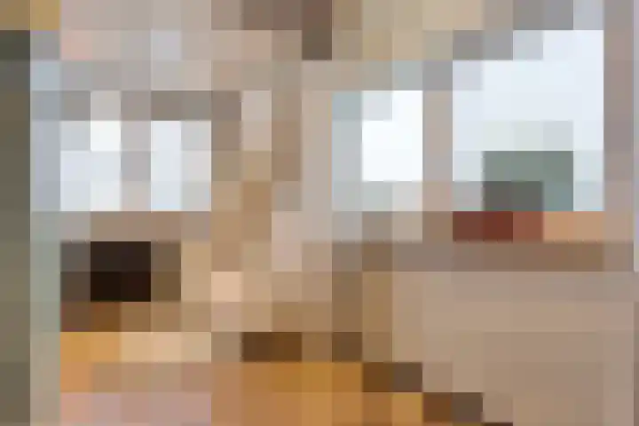 Auke Vosstraat 78 Slagharen thumbnail 30
