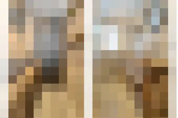 Auke Vosstraat 78 Slagharen thumbnail 33