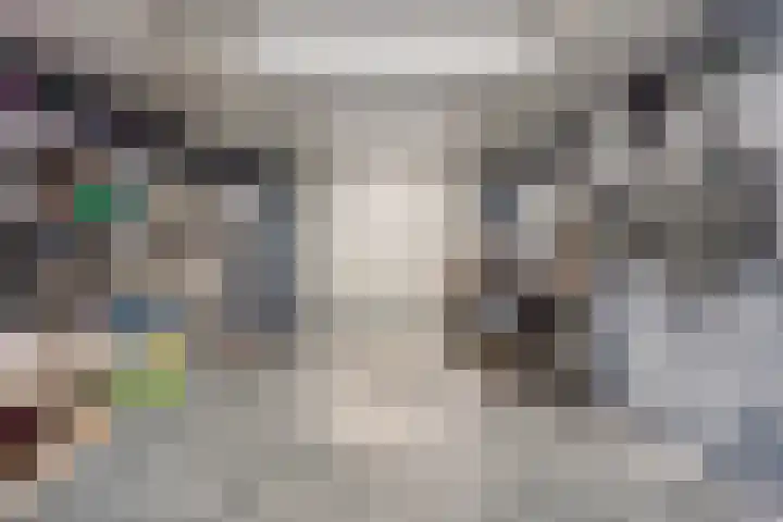 Auke Vosstraat 78 Slagharen thumbnail 38