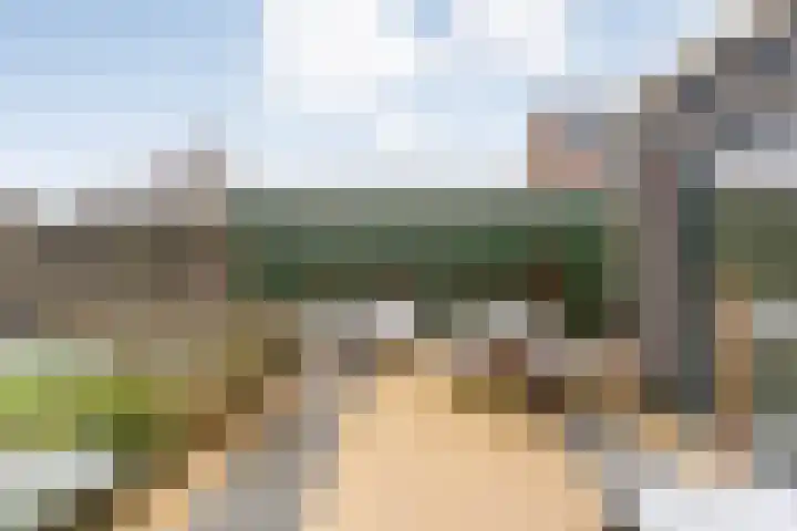 Auke Vosstraat 78 Slagharen thumbnail 39