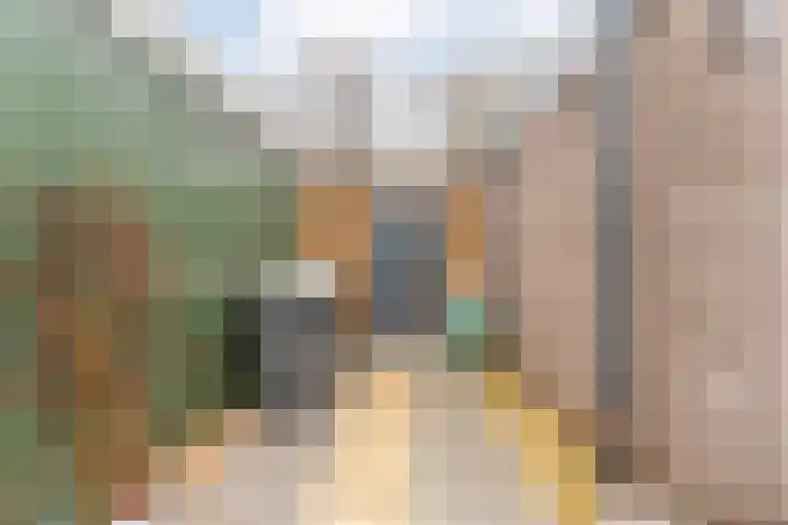Auke Vosstraat 78 Slagharen thumbnail 41