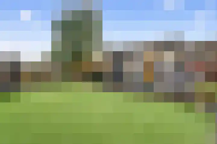 Auke Vosstraat 78 Slagharen thumbnail 43