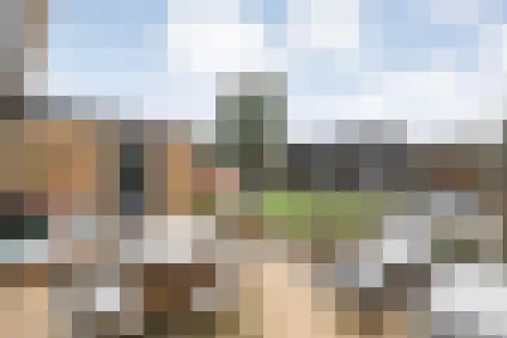 Auke Vosstraat 78 Slagharen thumbnail 45