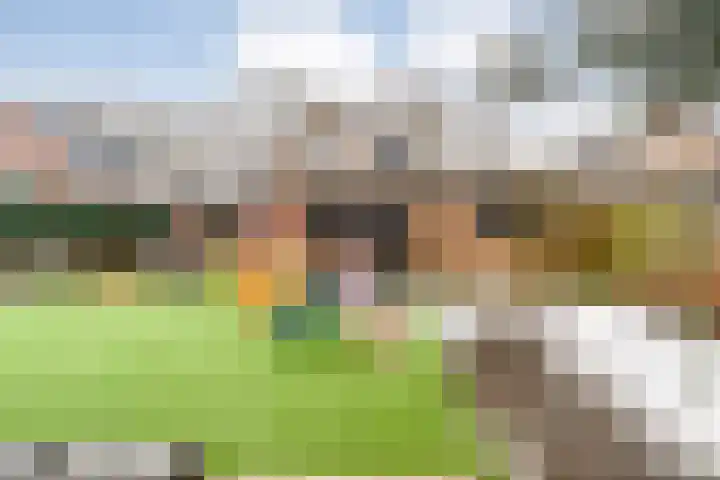 Auke Vosstraat 78 Slagharen thumbnail 47