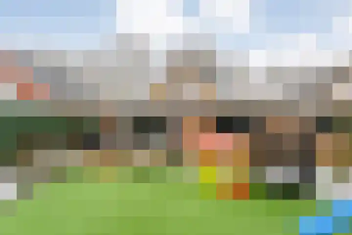 Auke Vosstraat 78 Slagharen thumbnail 48