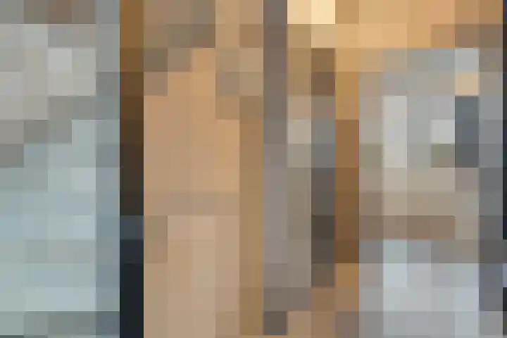 Auke Vosstraat 78 Slagharen thumbnail 5