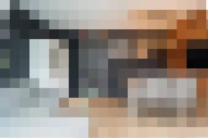 Auke Vosstraat 78 Slagharen thumbnail 50
