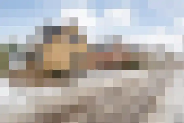 Auke Vosstraat 78 Slagharen thumbnail 54