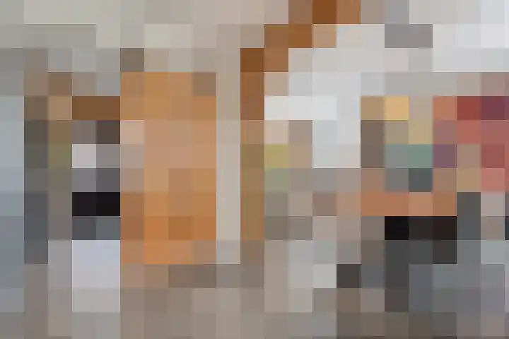 Auke Vosstraat 78 Slagharen thumbnail 7