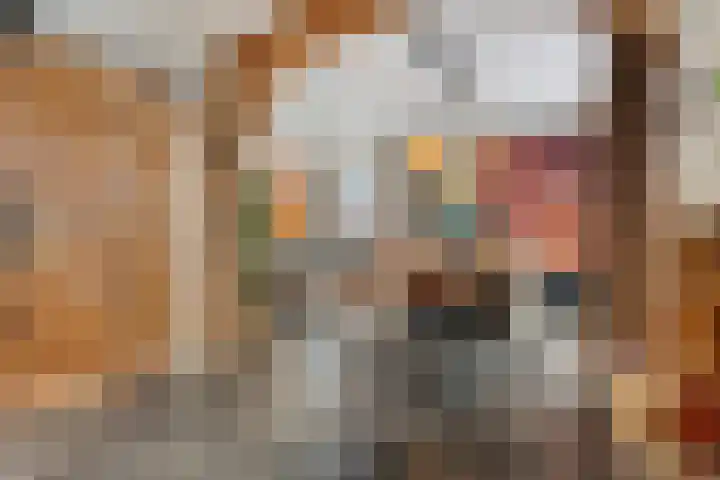 Auke Vosstraat 78 Slagharen thumbnail 8