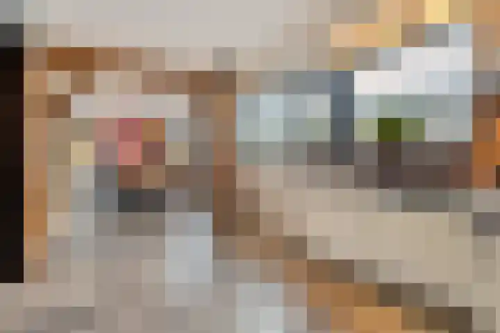 Auke Vosstraat 78 Slagharen thumbnail 9