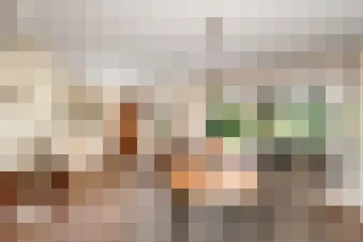 Aukebaes 6 Joure thumbnail 10