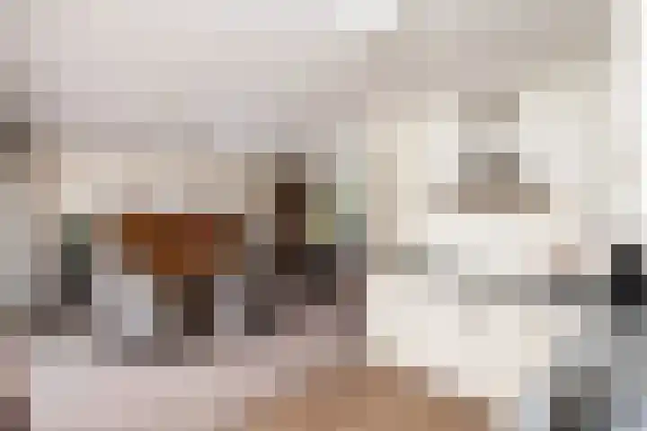 Aukebaes 6 Joure thumbnail 11