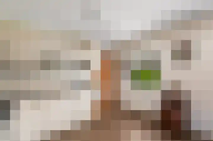 Aukebaes 6 Joure thumbnail 13