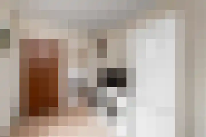 Aukebaes 6 Joure thumbnail 16