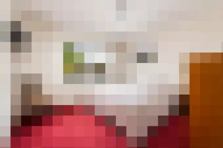 Aukebaes 6 Joure thumbnail 17