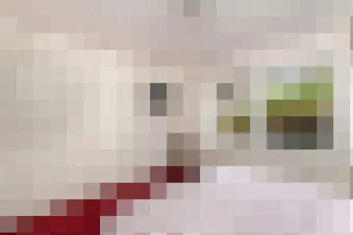 Aukebaes 6 Joure thumbnail 18