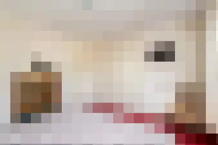 Aukebaes 6 Joure thumbnail 19