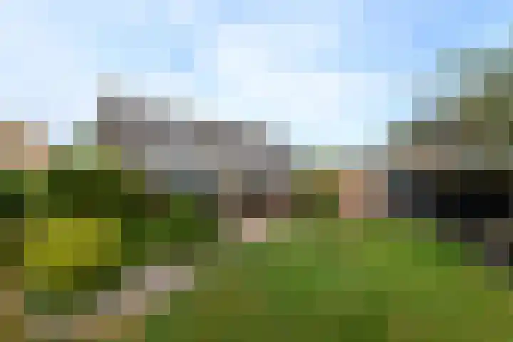Aukebaes 6 Joure foto 2