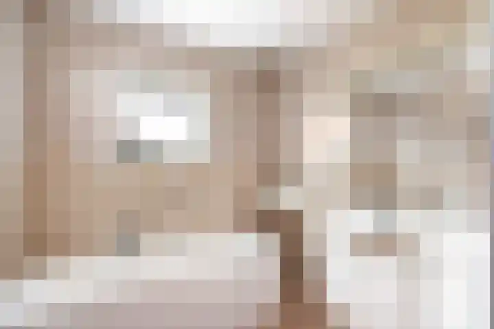 Aukebaes 6 Joure thumbnail 20