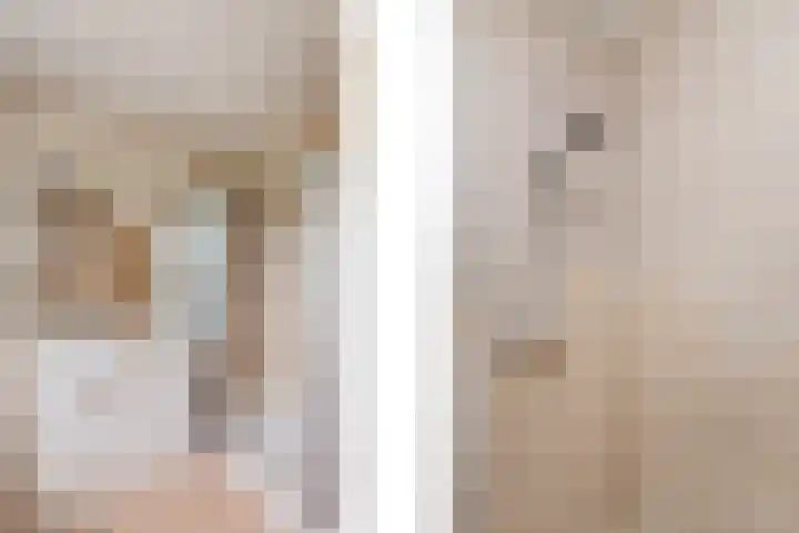 Aukebaes 6 Joure thumbnail 21