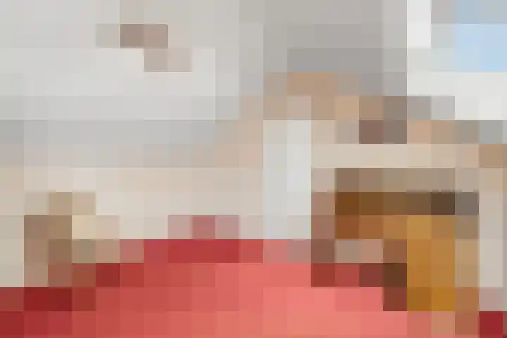 Aukebaes 6 Joure thumbnail 27