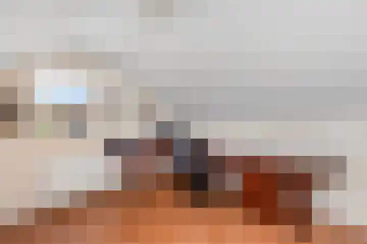 Aukebaes 6 Joure thumbnail 29