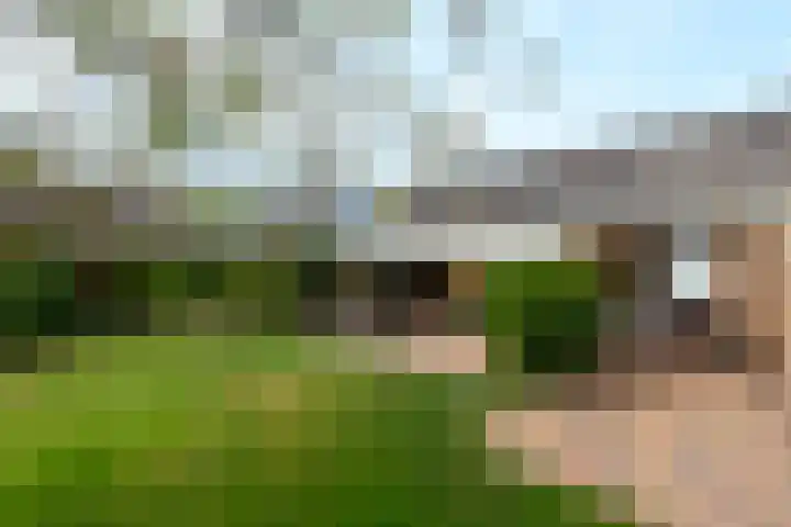 Aukebaes 6 Joure thumbnail 32