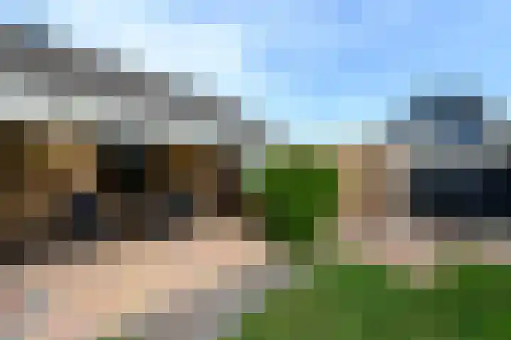 Aukebaes 6 Joure thumbnail 33