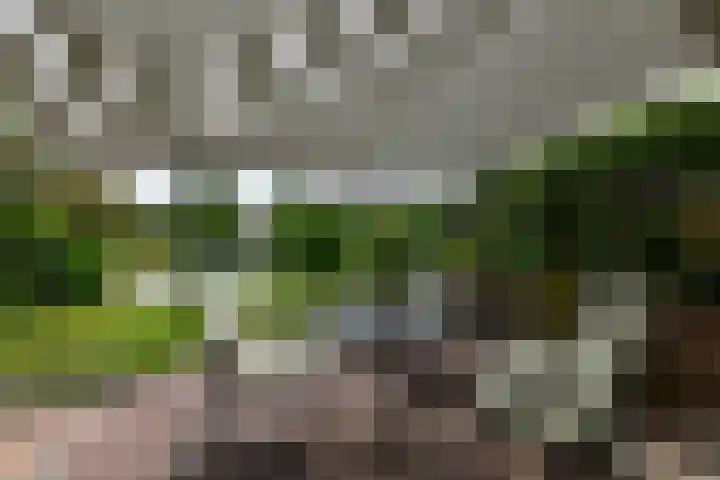 Aukebaes 6 Joure thumbnail 35