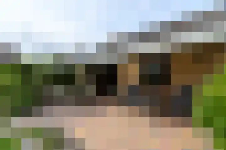 Aukebaes 6 Joure thumbnail 37