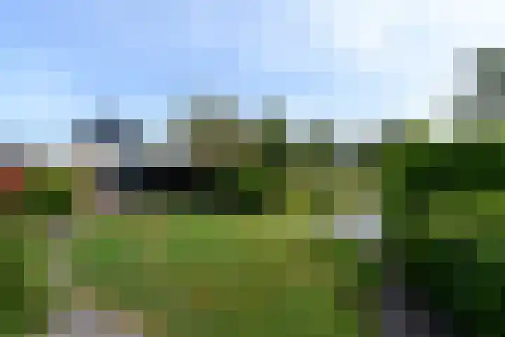 Aukebaes 6 Joure thumbnail 39