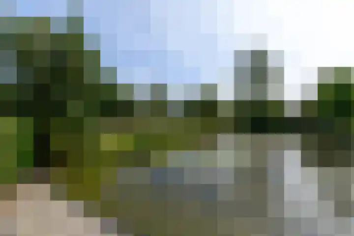 Aukebaes 6 Joure thumbnail 40