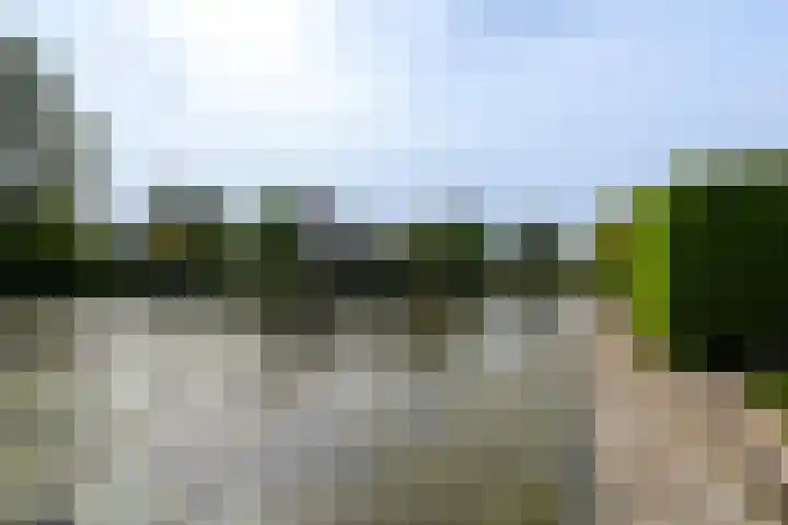 Aukebaes 6 Joure thumbnail 41