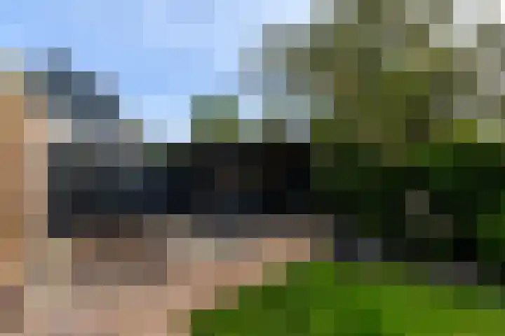 Aukebaes 6 Joure thumbnail 42