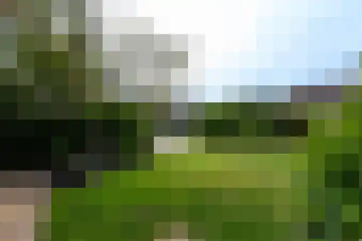 Aukebaes 6 Joure thumbnail 43