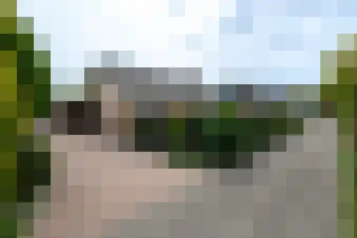 Aukebaes 6 Joure thumbnail 47