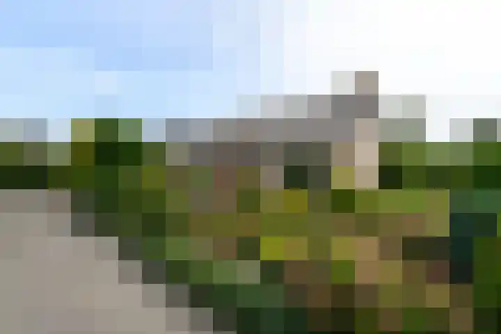 Aukebaes 6 Joure thumbnail 48