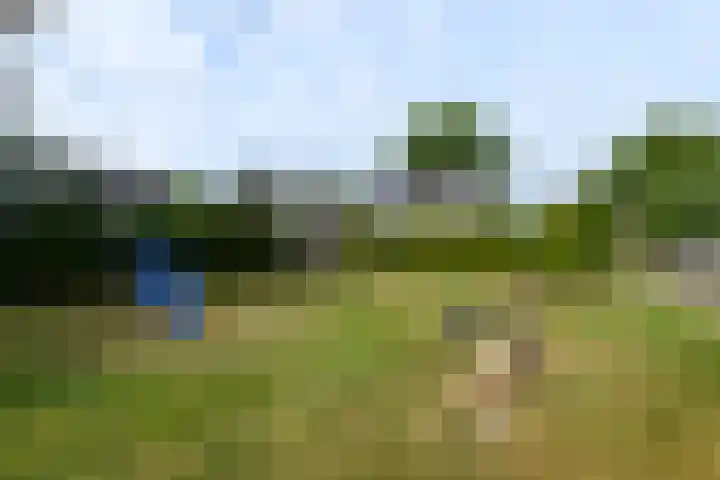 Aukebaes 6 Joure thumbnail 49