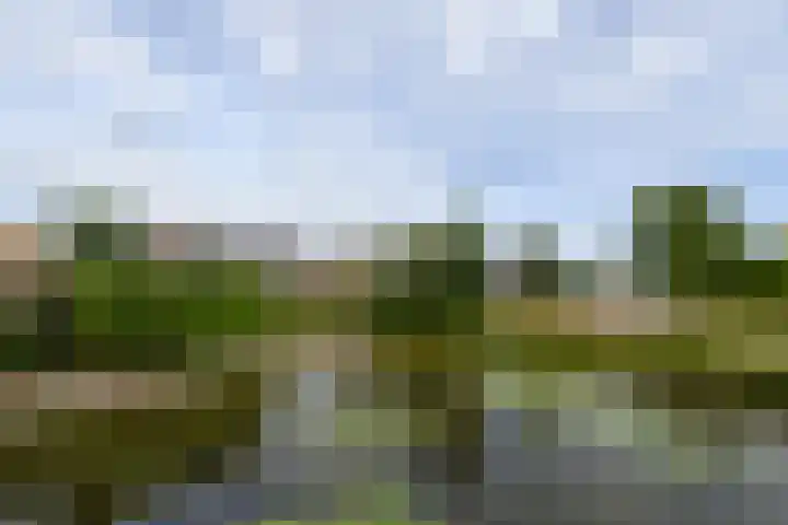 Aukebaes 6 Joure thumbnail 50