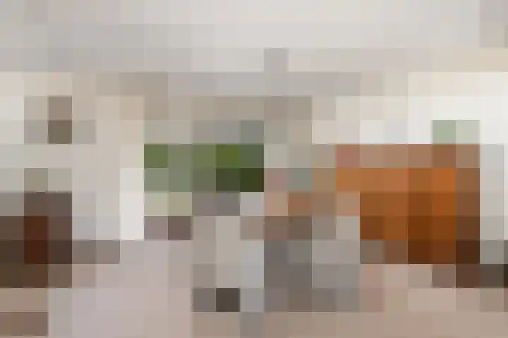Aukebaes 6 Joure thumbnail 7
