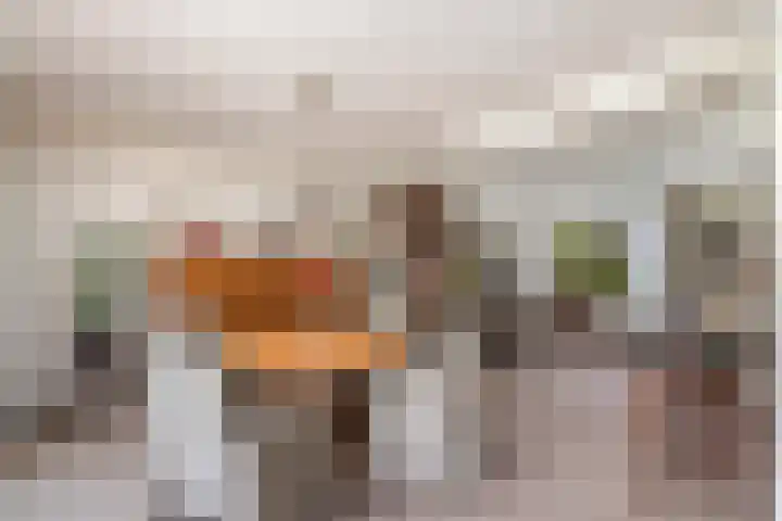 Aukebaes 6 Joure thumbnail 9