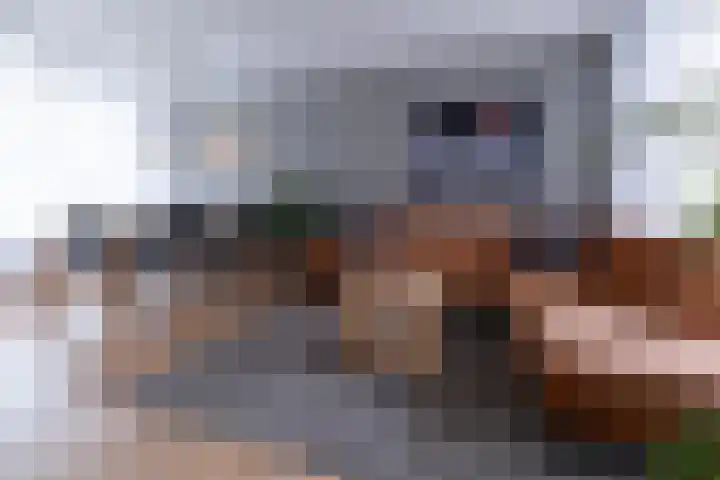 Aukemastraat 29 Roden thumbnail 10